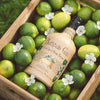 Ableforth's Bathtub Gin Persian Lime & Orange Blossom 70cl