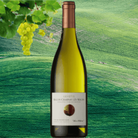 Genetie Macon Charnay Les Piliers 2019 White Wine 75cl