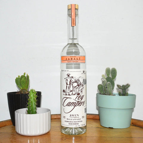 Rey Campero Jabali Mezcal 70cl