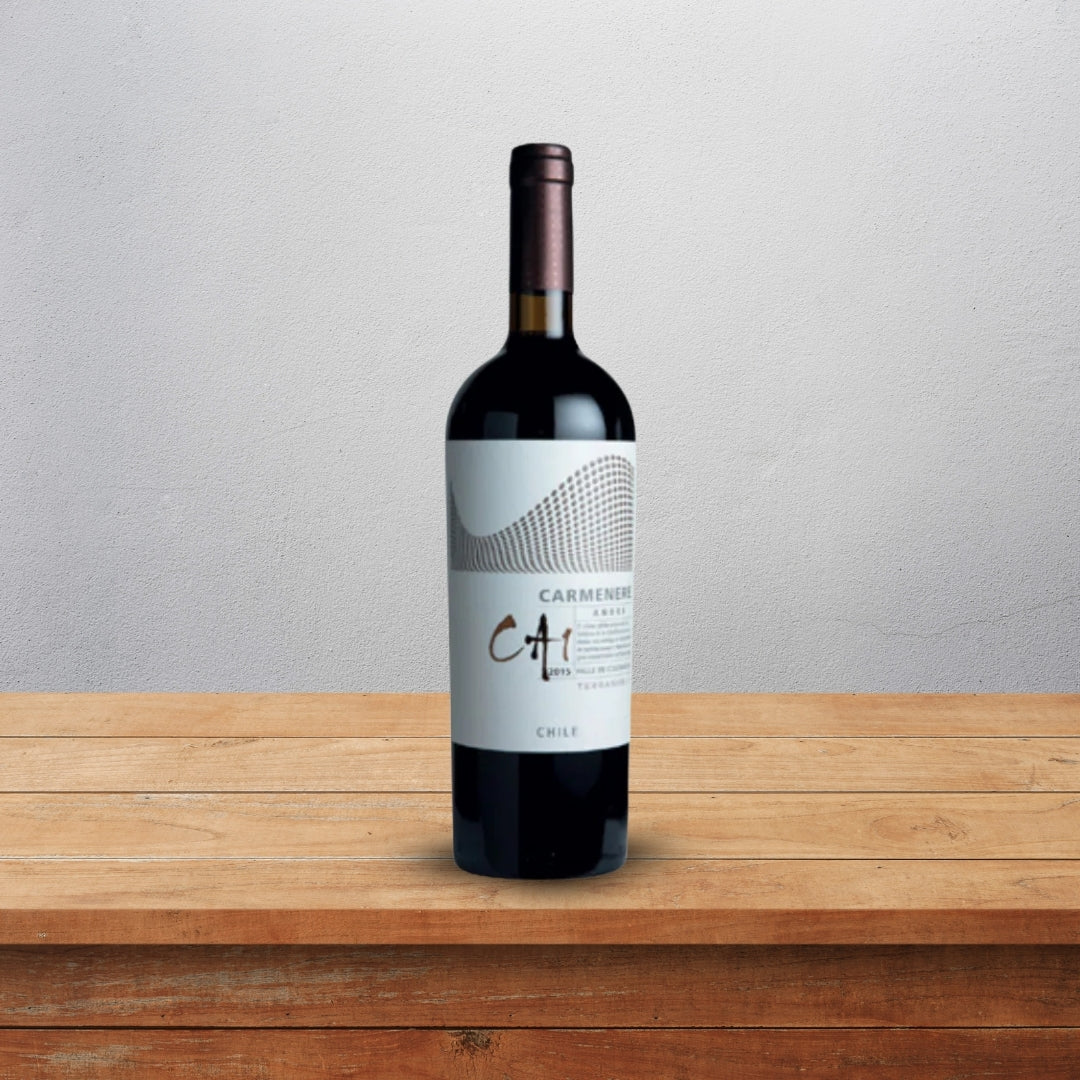 Terranoble CA1 Andes Carmenere Red Wine 75cl