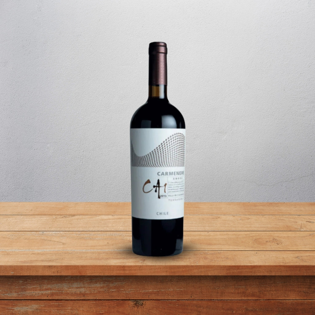 Terranoble CA1 Andes Carmenere Red Wine 75cl