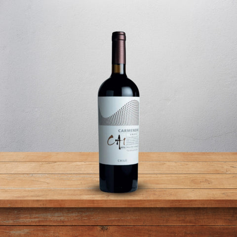 Terranoble CA1 Andes Carmenere Red Wine 75cl