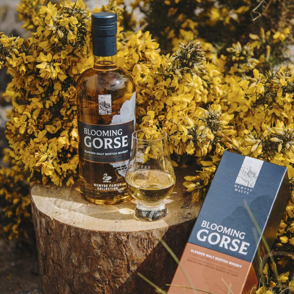 Wemyss Family Collection Blooming Gorse Blended Malt Whisky 70cl