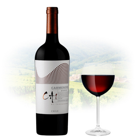 Terranoble CA1 Andes Carmenere Red Wine 75cl
