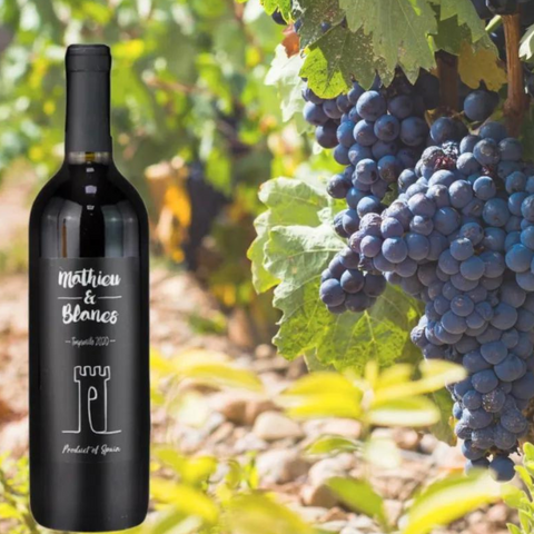 Mathieu and Blanes Tempranillo Red Wine 75cl