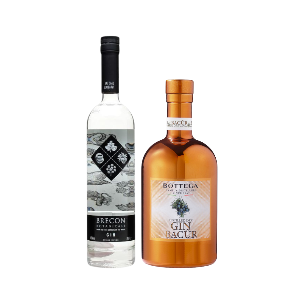 Brecon Botanical Gin + Bottega Bacur Italian Gin (2 Bottles)