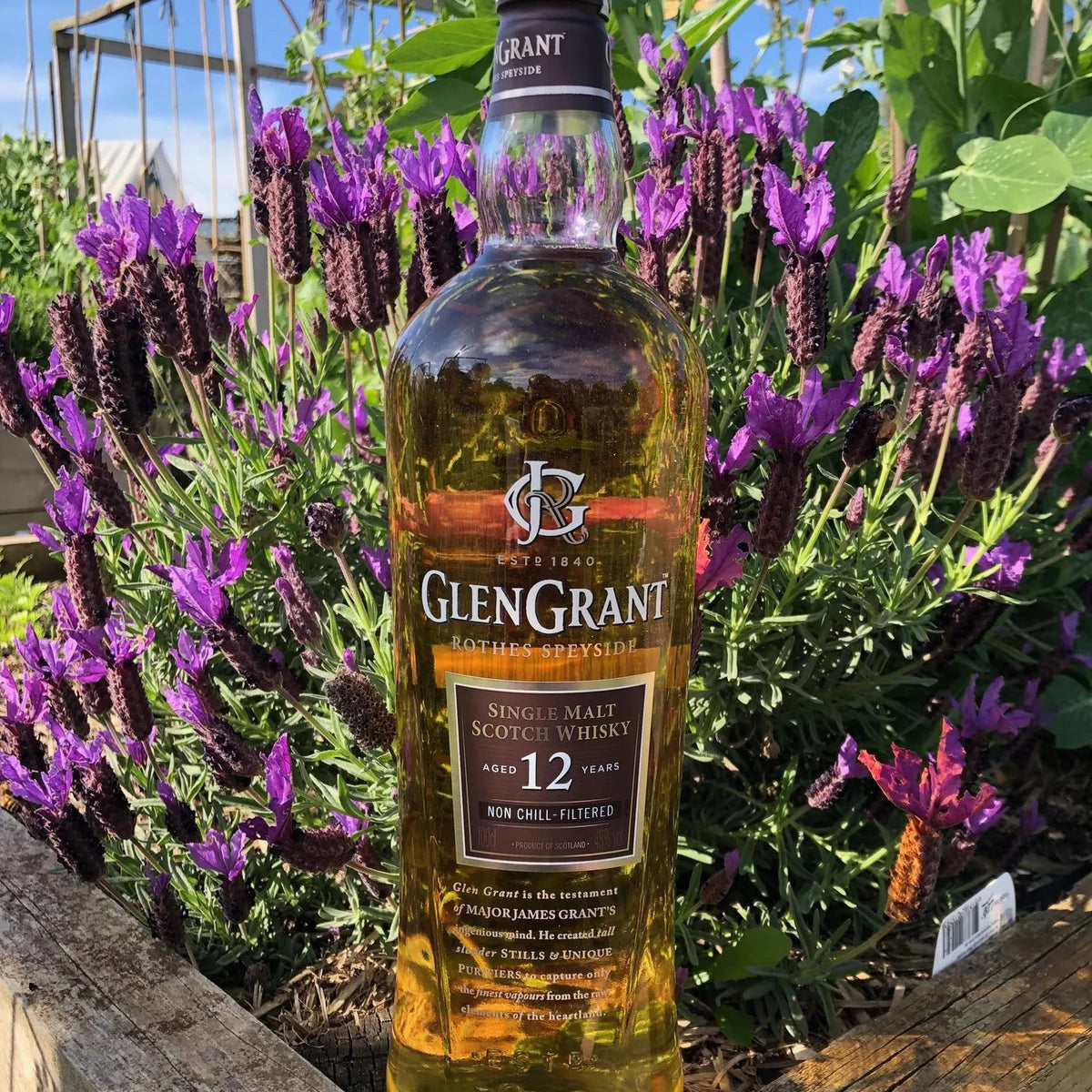 Glen Grant 12 Year Old Non Chill Filtered 1L