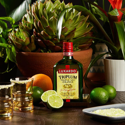 Luxardo Triplum Triple Sec Orange