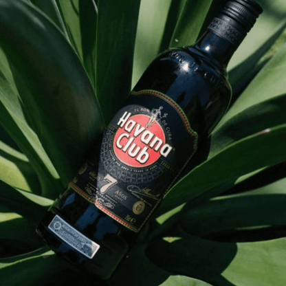Havana Club 7 Year Old Anejo Rum 75cl