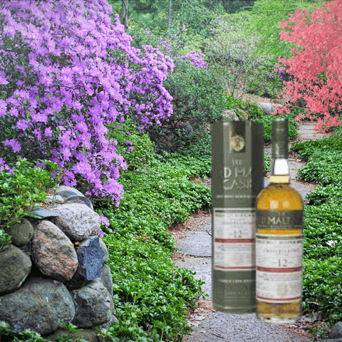 Hunter Laing - Old Malt Cask - Craigellachie 12 Year Old - Sherry Butt Cask 70cl