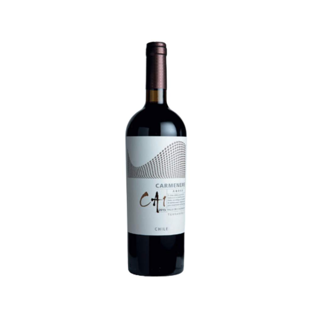 Terranoble CA1 Andes Carmenere Red Wine 75cl