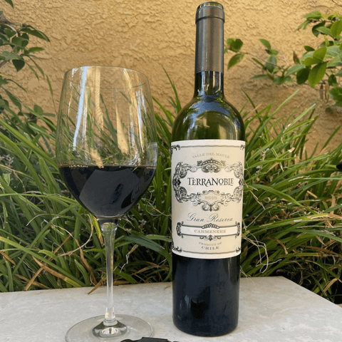 Terranoble Gran Reserva - Carmenere Wine 75cl